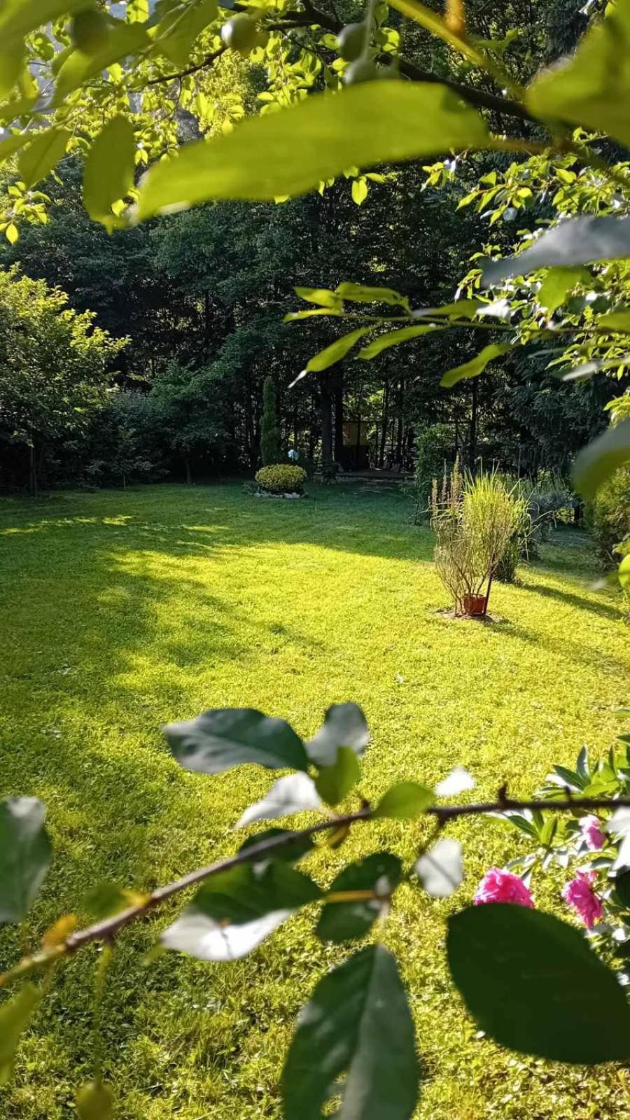 Tammaris Holiday Home Високо Екстериор снимка